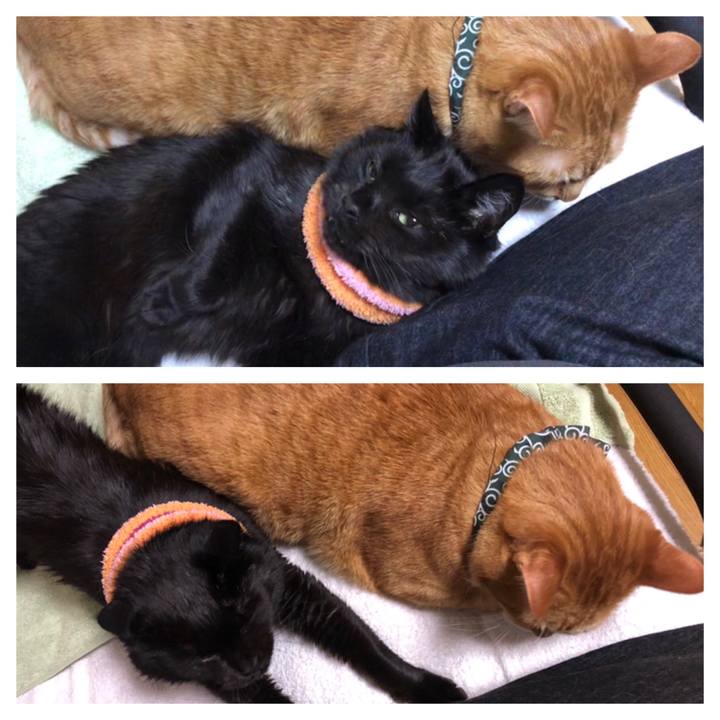 5c022262 a645 4851 9322 46e6570b7fbb 1588109324677