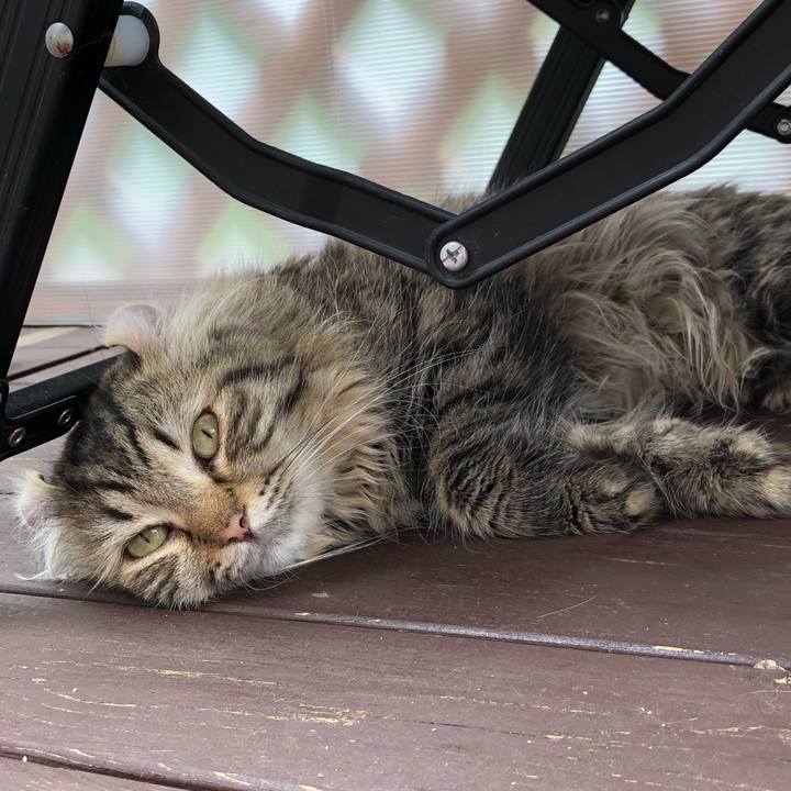 5c027c9b ccac 4e10 a06b 57c8cdbc66cf 1531877631434