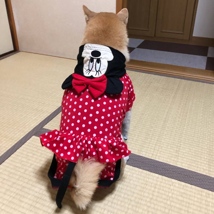 5c030468 8d68 44ba a5a3 bc5b461b3fc8 1576140303090