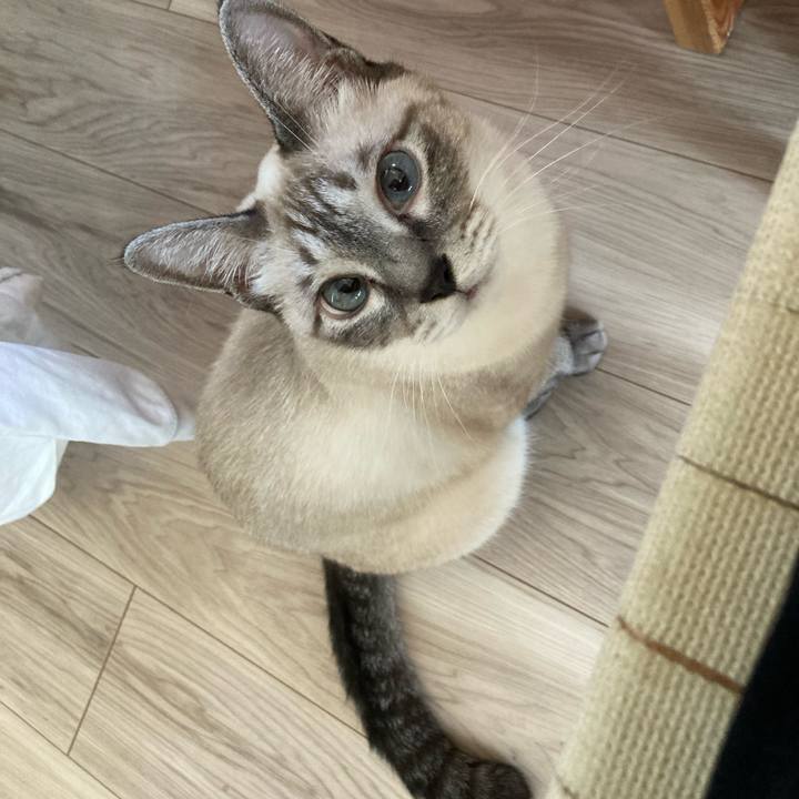 5c030823 5e4a 47a8 aa4c 2b1ea3e3ef13 1699059902310