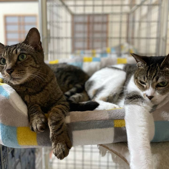 5c0372ea 0f50 415f 8caf 3e25be9834b5 1625450864461