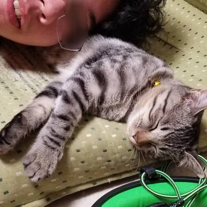 5c0379e8 546c 4672 ac6b c1b9eea1607a 1670717827916