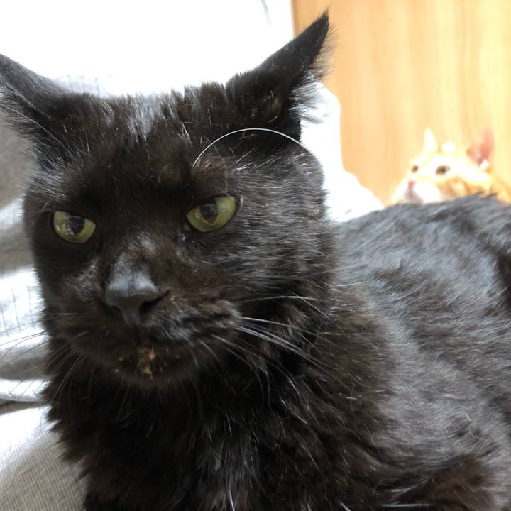 5c03ae0c 03d0 40c6 a3ae f3802bd3a58e 1599576410833