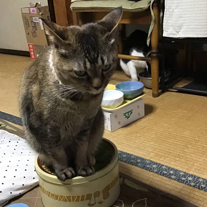 5c03af0a 8a99 4bc8 a986 4d98c5261c2b 1652870249876