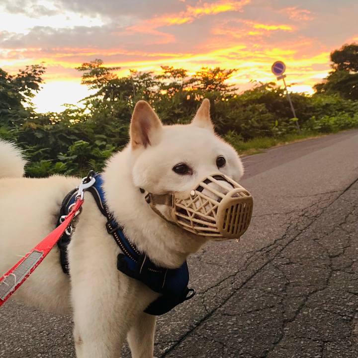 5c03afbd c8d9 45aa 9041 8bd2f973ae0d 1627501934317