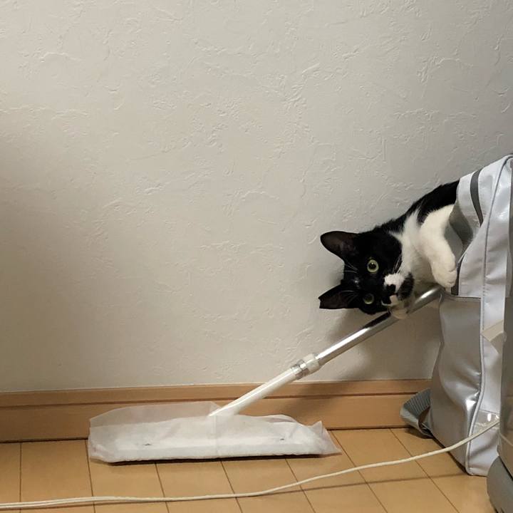 5c03c90a 7e40 431b bfae df874a2255c9 1534174292998