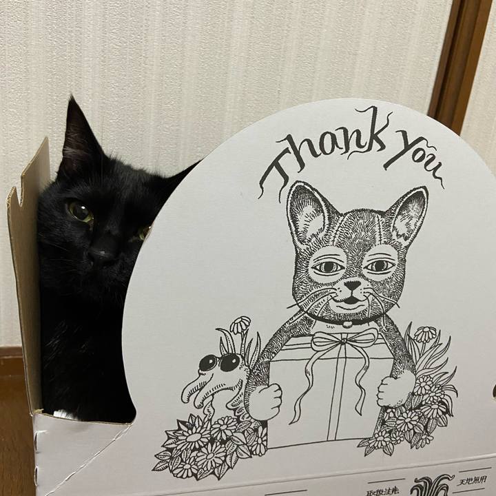 5c03cc02 1c62 4f79 ba0c 6ba490496db3 1648340939862