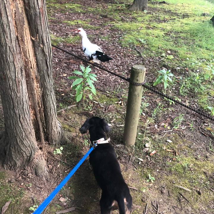 5c040727 a6d2 4c3f adc3 39407a21514c 1597787811622