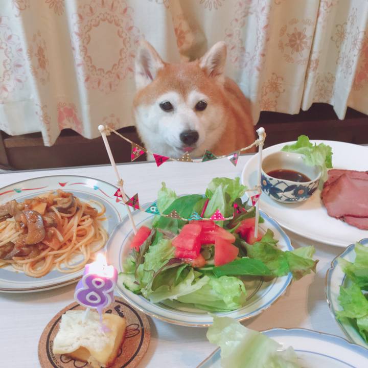 5c042173 95e1 4fa7 a768 0443c7fc7f20 1524395562285