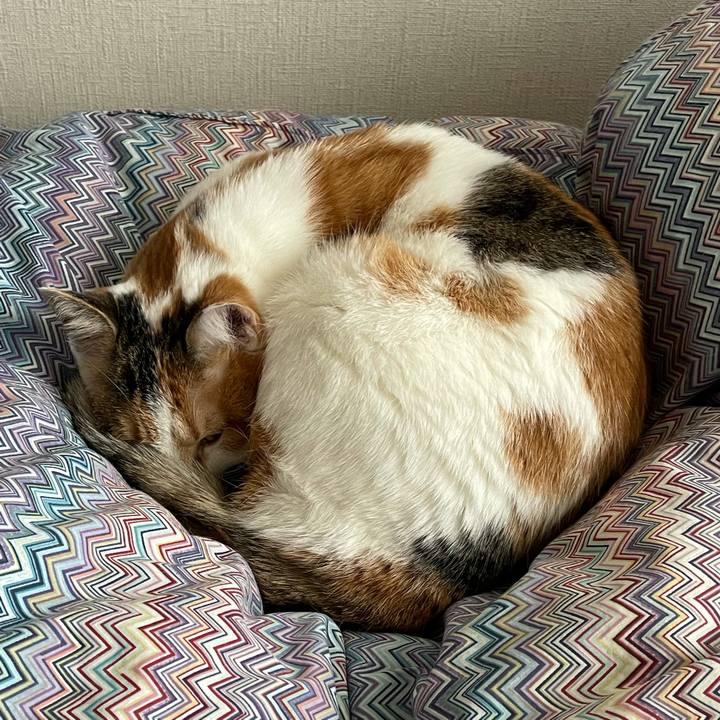 5c0425a7 2e21 4134 9265 a2d3c3607ad9 1613182743949