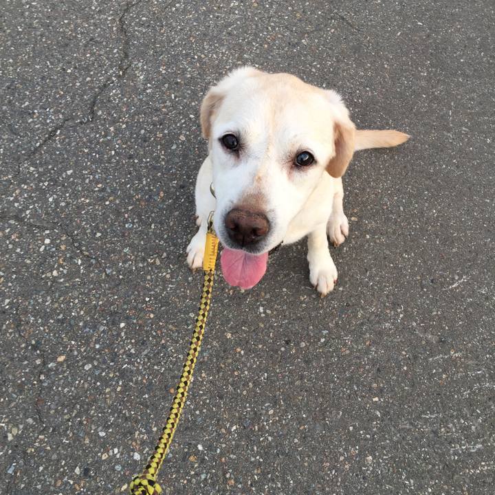 5c043e0e 69a7 4531 9969 226334febac3 1534633370361