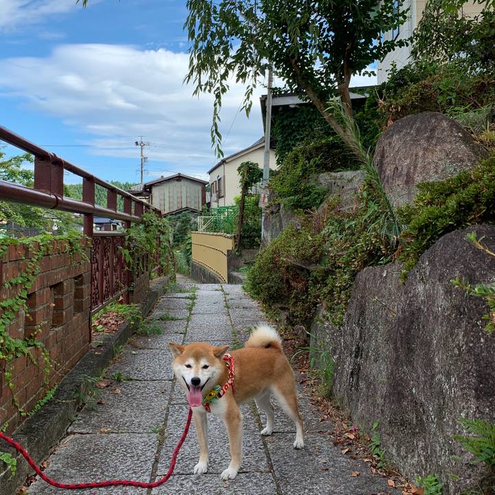 5c044dca 01af 4eb8 bc25 44e45657a87c 1565685040973