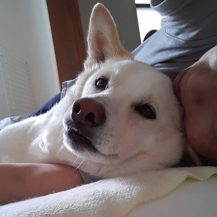 5c045c99 9b9e 4945 8944 554abceb55d9 1654398606396