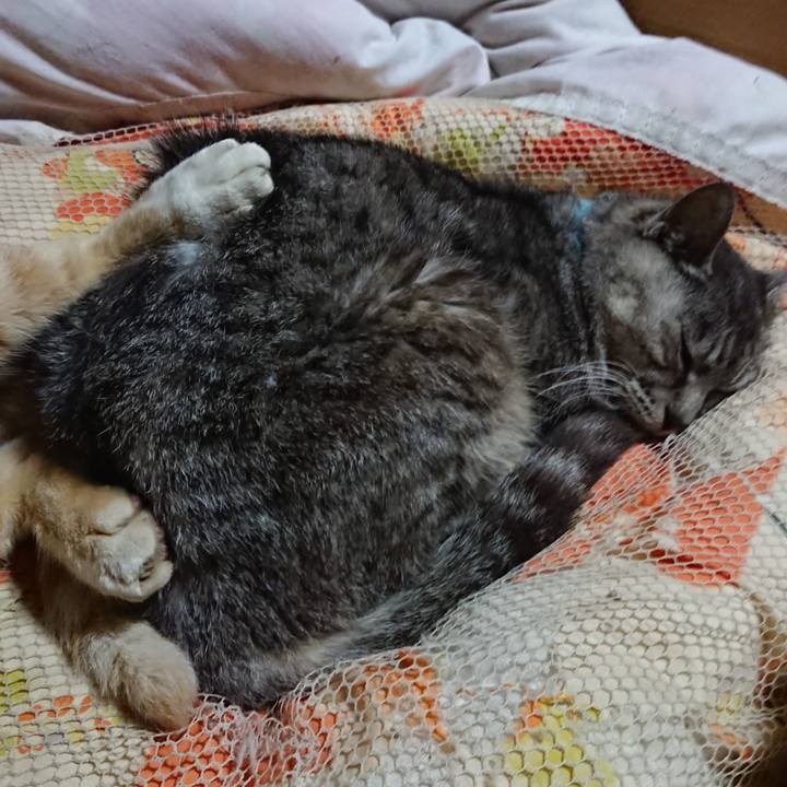 5c04aa17 3c5f 4229 a323 df95daef050c 1571835299593