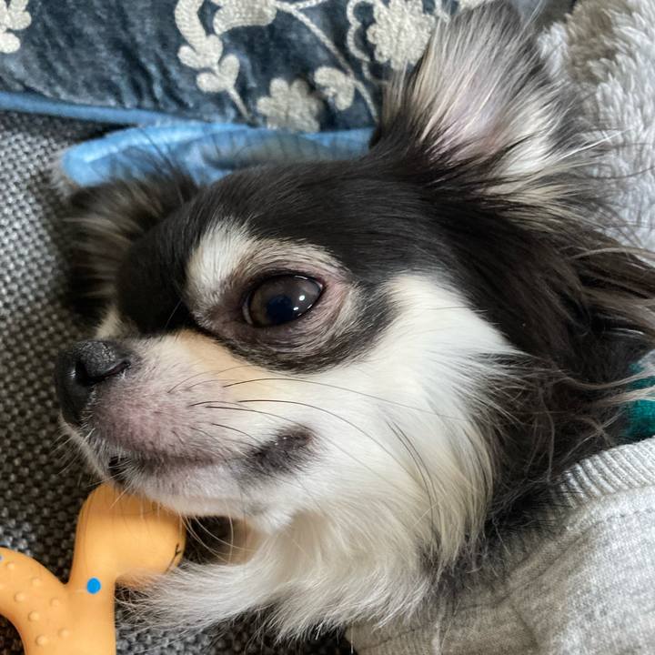 5c04dd99 2b9c 49de bbf7 2beed69d1c58 1639317386044