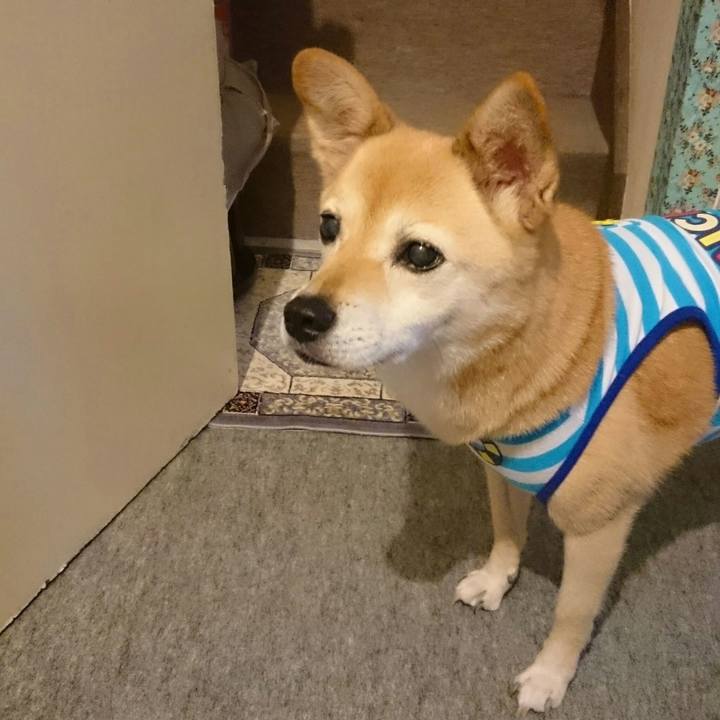 5c05a203 e727 490c 8290 e4f6b181b3f8 1587085949159