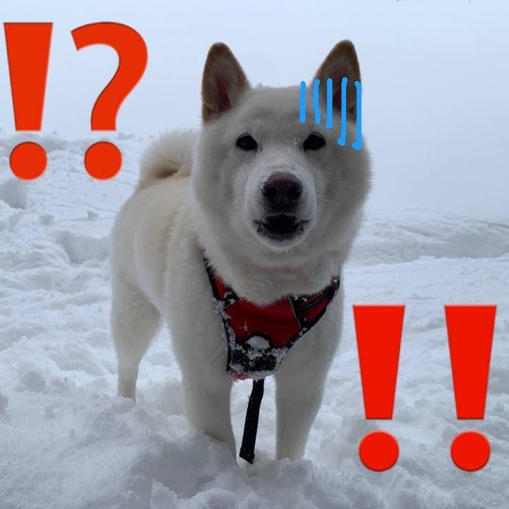 5c05a7e4 3dc8 48ee a1bb d3ab0fd2fdb1 1658091763111