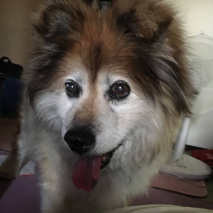 5c05a8f0 adba 467c bb20 49d4933dbf9a 1602225257417