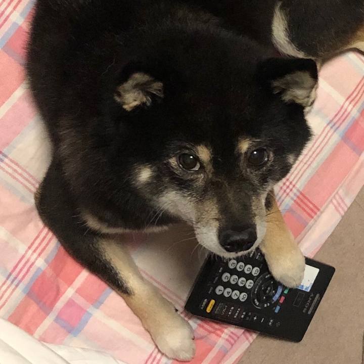 5c05bcb4 1031 4e07 bbdd 644a5605e886 1577530664028