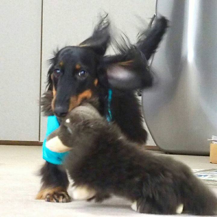 5c05c59e e651 4f39 a0b6 acf27cf8a658 1524098115895