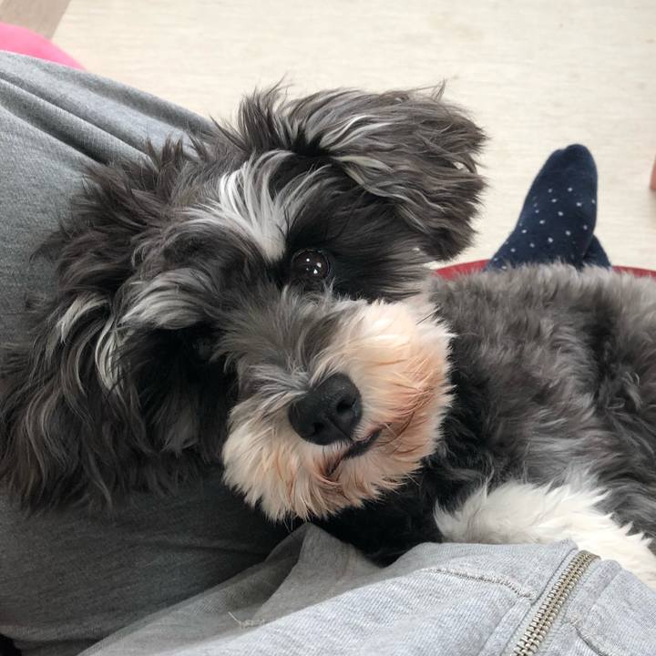 5c0615bb 0aff 4cda 8299 a4096b370f55 1540988148789