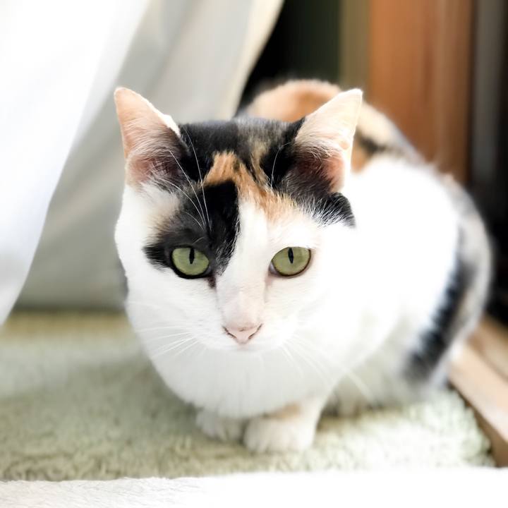 5c06361e ccdb 4fc5 aa05 7fc647bc40ba 1531061979722