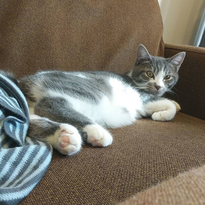 5c065a7b 7a8a 4231 ad02 d9033ab6d4f7 1575036592162