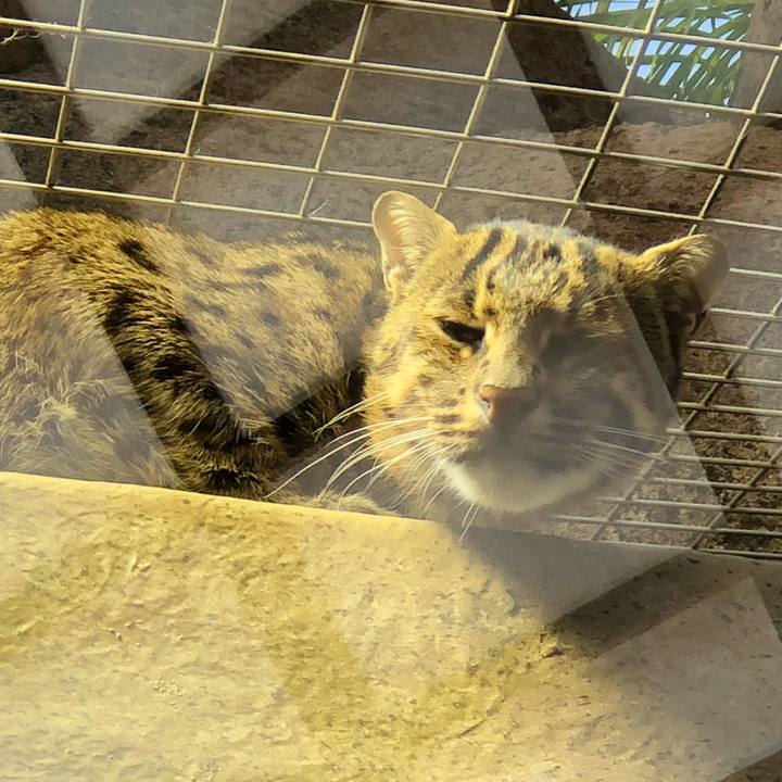 5c065b85 cf23 48a7 9544 671a5dd03c32 1516442694916