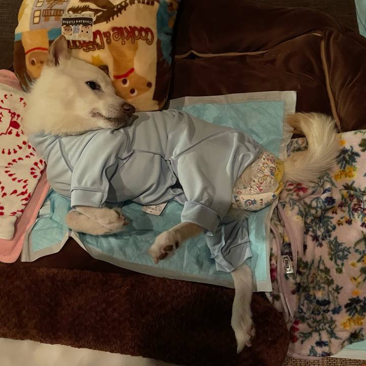 5c066807 1af8 4ecd a1ac 215869f53193 1674397207224