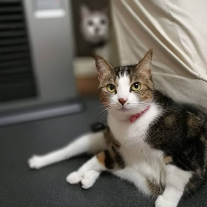 5c067859 2d3a 44d9 b6fd b8c573f4e183 1514330093824