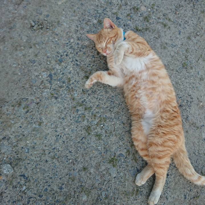 5c067b3a cad1 47fc 952c 6bce8f8ee042 1555406783753