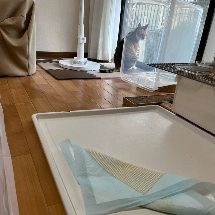 5c06b562 4efa 4abd aae4 80b29ff3906d 1688810939857