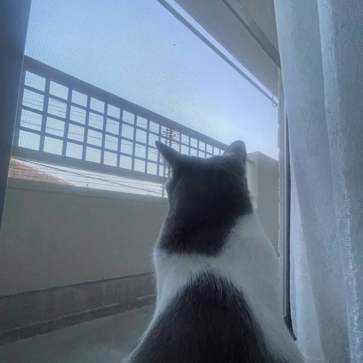 5c06bb36 c818 4244 a52e 8e0a4e1c939a 1718186953282