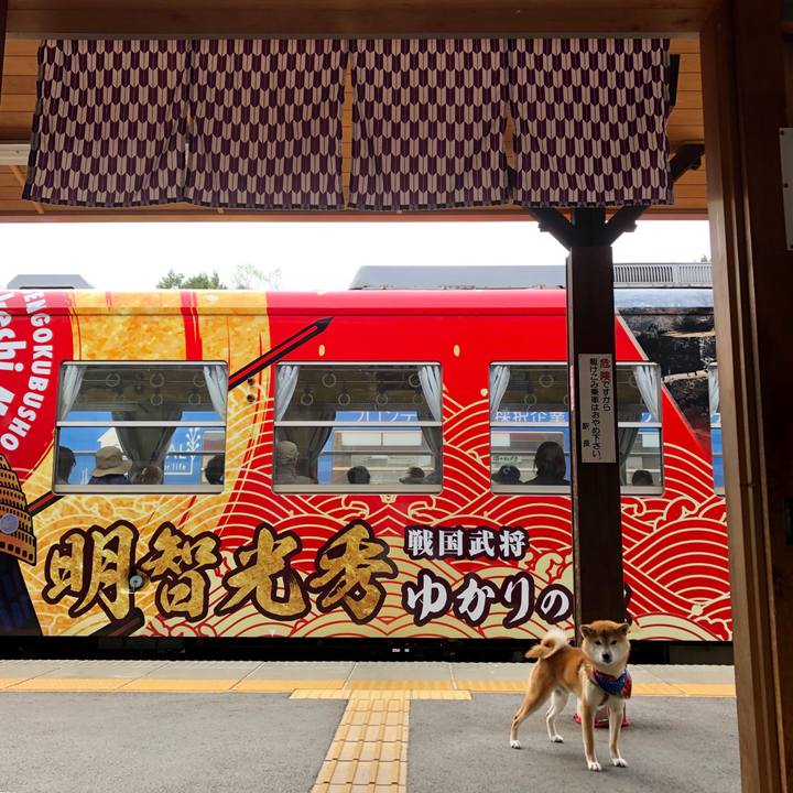 5c06cc16 4832 4f4f ae5c de4ad849bf0c 1556439130877