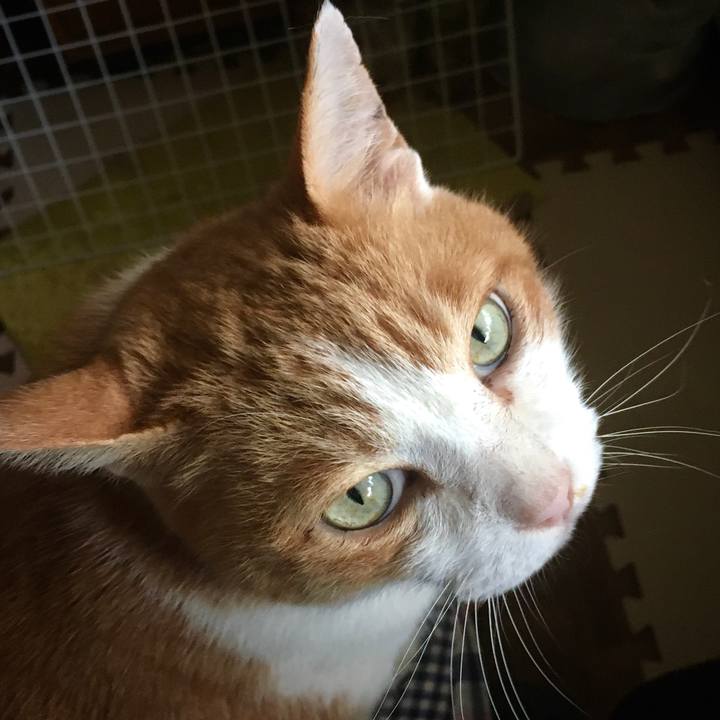 5c06e21d 798b 4465 9db6 c5663c566706 1585819116565