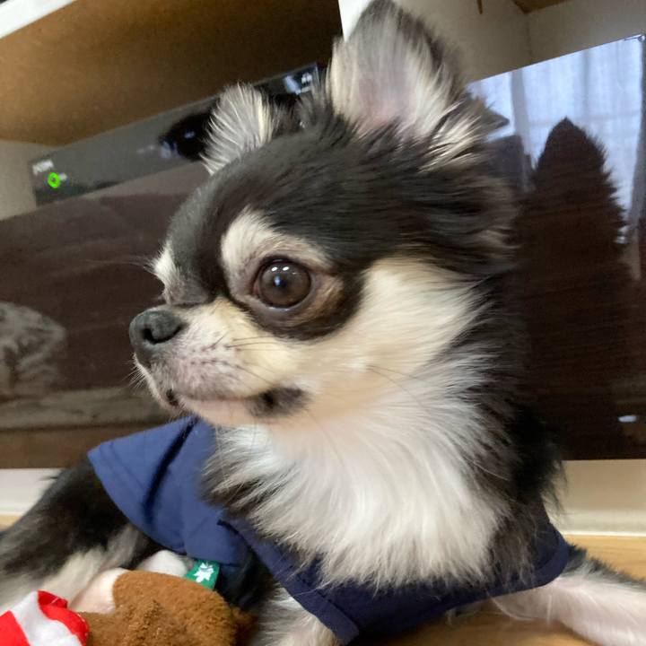 5c06efd0 eb6a 4b95 9113 d4534d9dca58 1620191360061