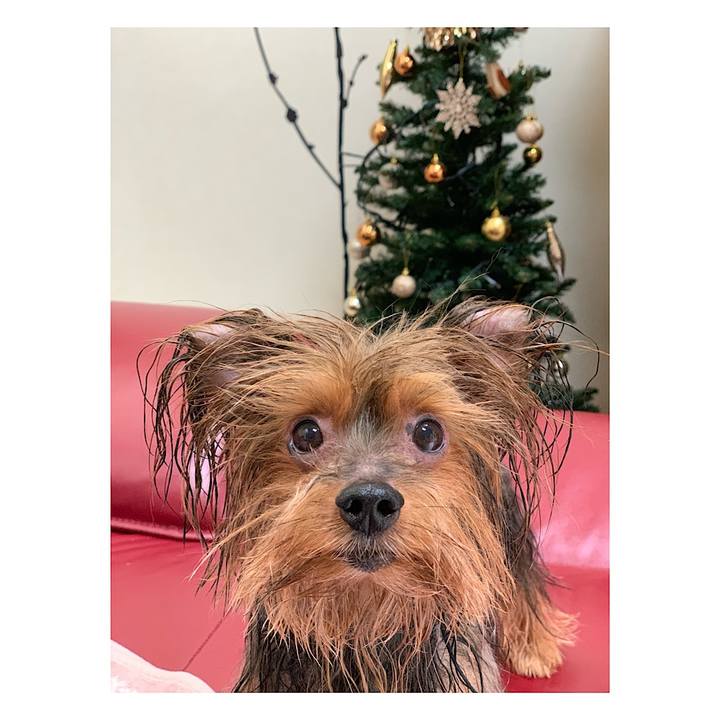 5c06f211 f836 44bd a010 6840b001b39e 1542763411043