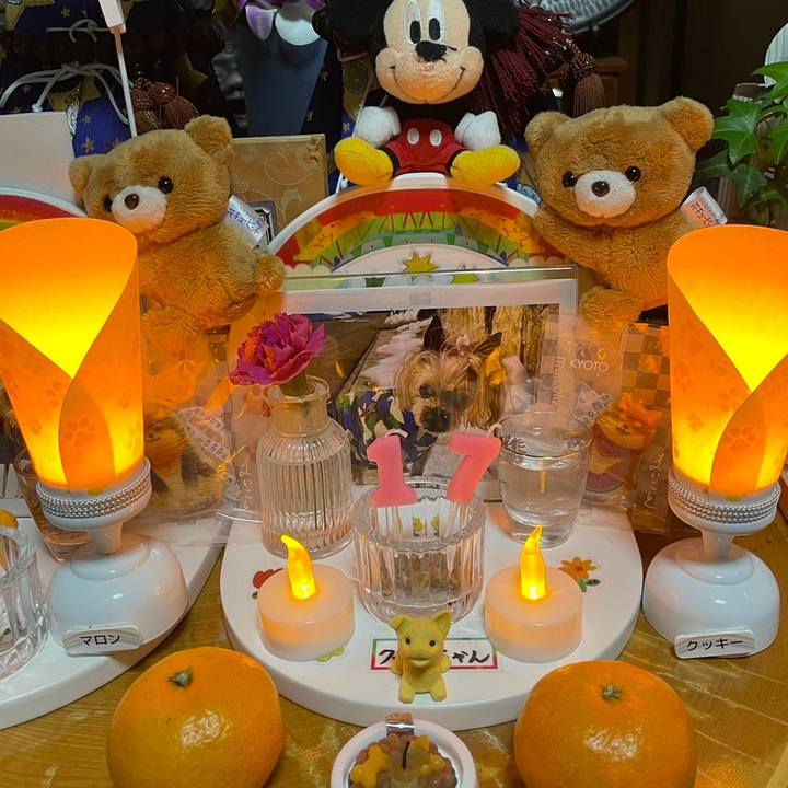 5c06fd40 0a1e 48dd 8c4c d7efeb4c50b6 1733904360323