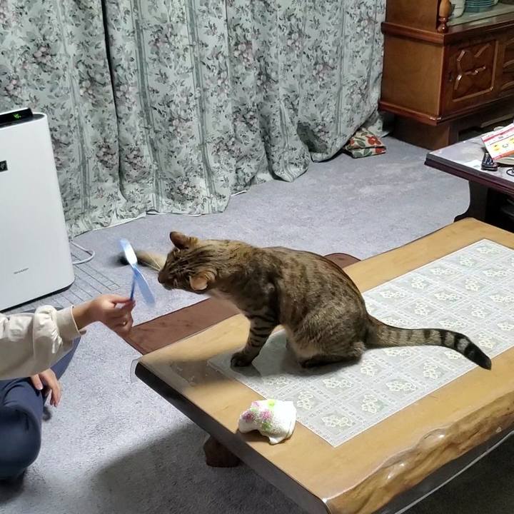 5c0702c5 ffed 4dad bbe7 c78abab0b588 1704638506654