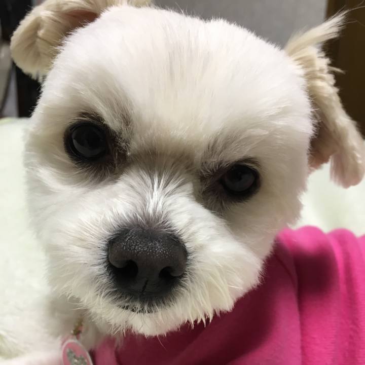 5c074025 7bdf 44b5 8351 7a266f6bee6a 1520685191979