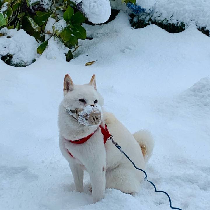 5c07c203 4c0f 4230 b210 2f893fc9be0e 1605048279448