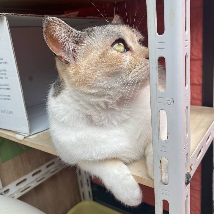 5c07fa5f e2f5 4334 9c52 33b2d1470860 1620447712477