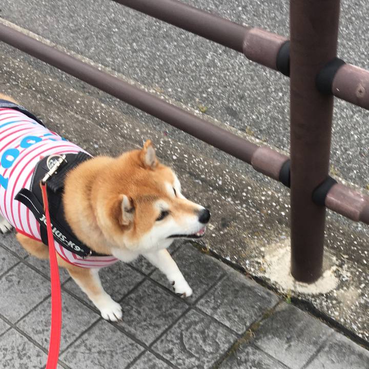 5c0803e6 13b3 4e70 8672 07544e686217 1591573227282