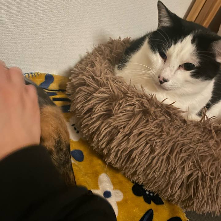 5c081fdc f0c5 4be5 a5ae d5273502bf89 1709989911872