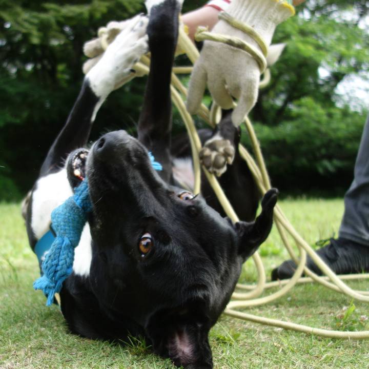 5c082658 8e21 41c8 b167 e4ef785c8c18 1620348053962