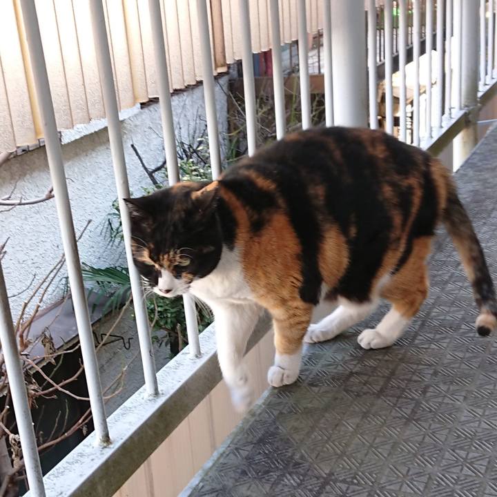 5c08afd8 fdba 4351 b9f6 1da1cdf6b0fe 1613004757983