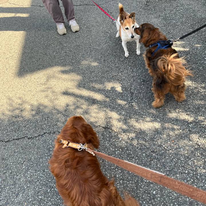 5c08bcd2 4210 4ea2 ab8c 3c97b10eb938 1746402667955