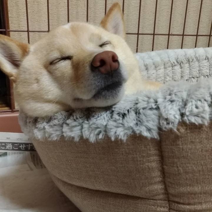 5c08cc2d bb50 47f7 85bf 26927c6ce742 1588680418405