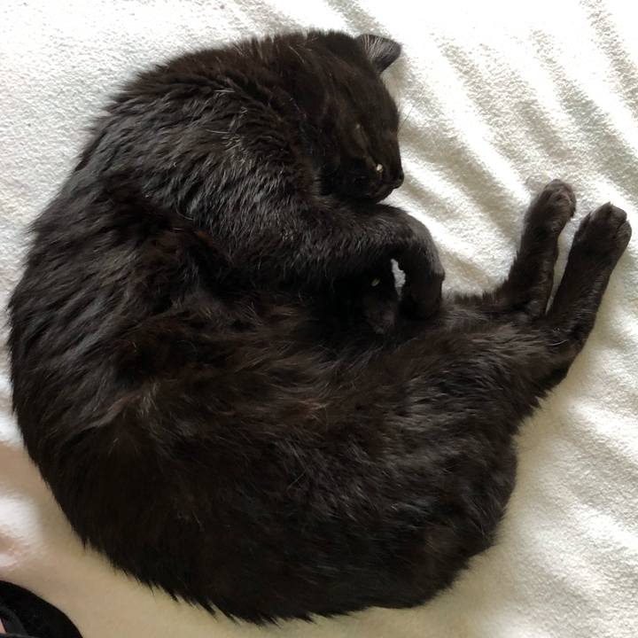 5c08e1ca 5dd5 4f94 8a6b f9518b52b304 1566599279504