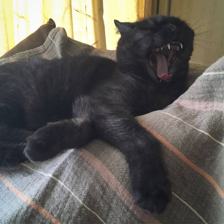 5c08eb95 f8f7 4c05 91ae ae9f9944b591 1562468327254